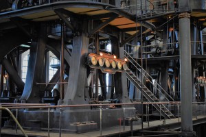 Water plant4